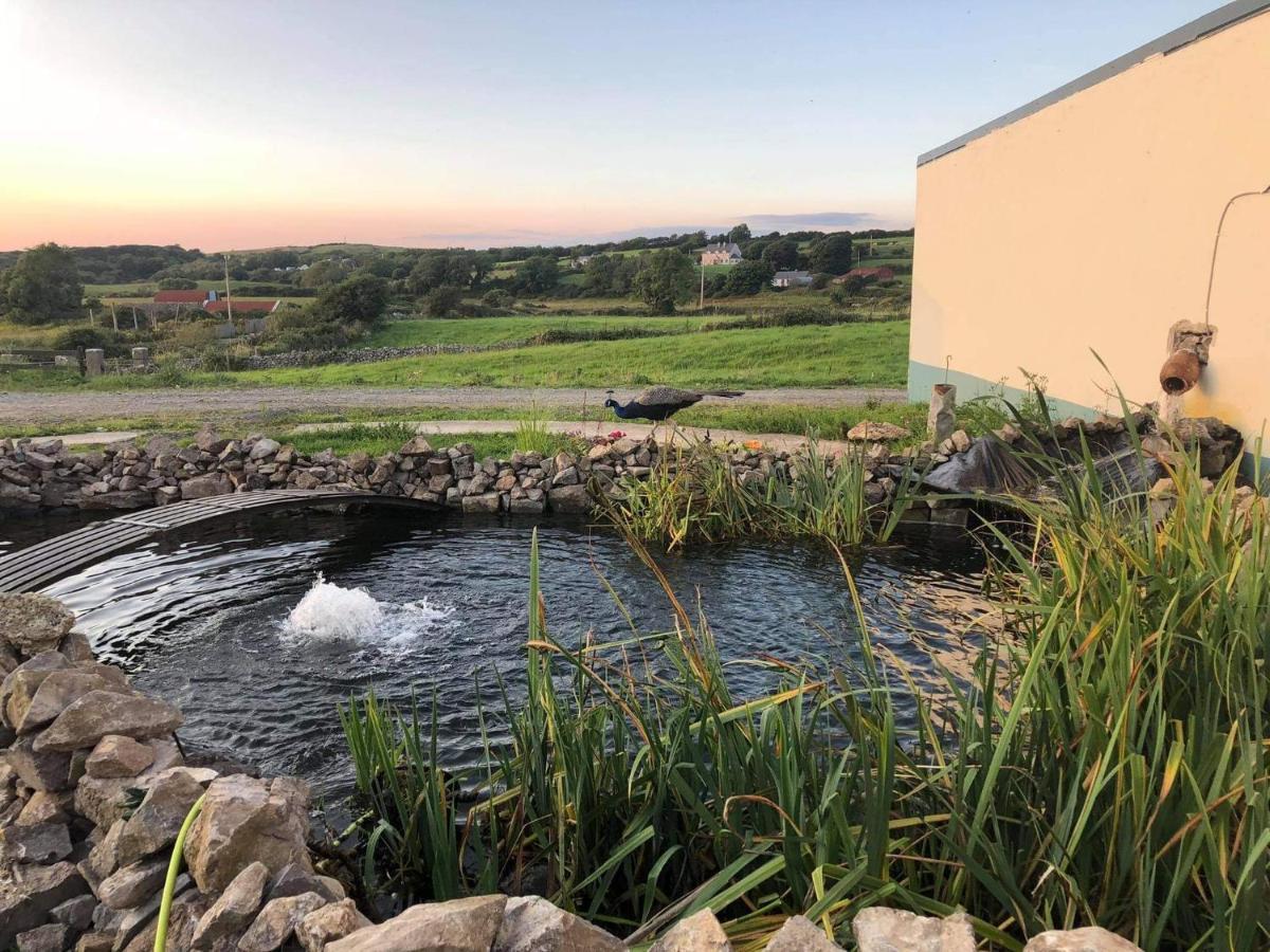 Farm Stay Property Pets And Families Welcome روسنوولاغ المظهر الخارجي الصورة