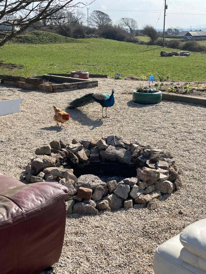 Farm Stay Property Pets And Families Welcome روسنوولاغ المظهر الخارجي الصورة